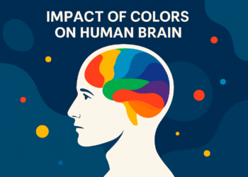 Illustration showing the psychological impact of colors on the human brain WhatIsAndHowTo.com