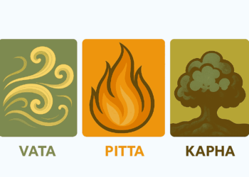 Tridosha In Ayurveda, WhatIsAndHowTo.com